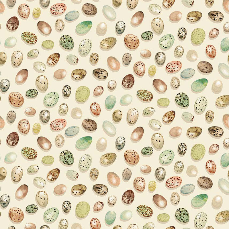 From Little Acorns - 012422-11 - Cream - Michael Miller
