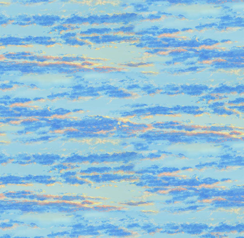 North Country - Sky 12448-11 - Michael Miller