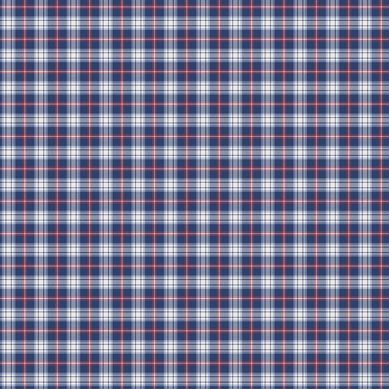 Cowboy Blues - Plaid in Blue - Deborah Edwards - Northcott