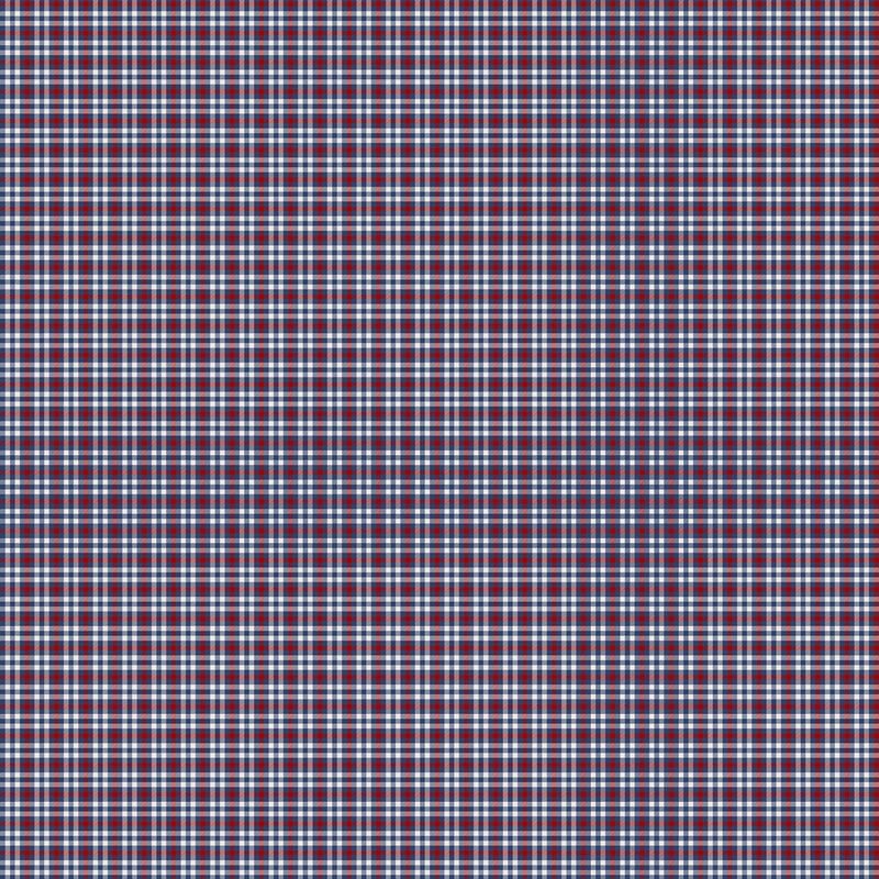 Cowboy Blues - Small Plaid in Blue - Deborah Edwards - Northcott