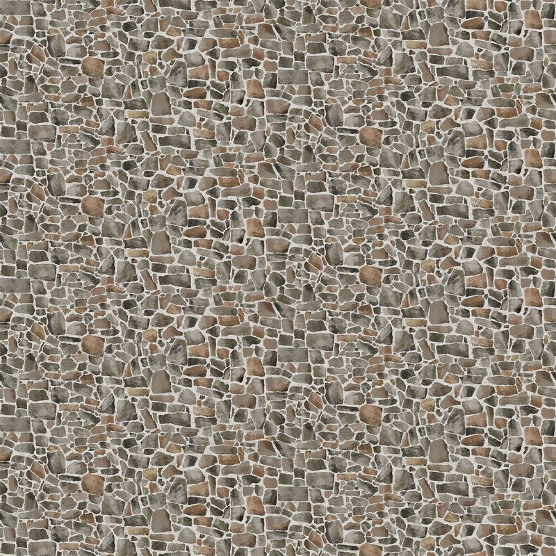 Bear Necessities - Field Stones in Grey Multi - Deborah Edwards - Northcott (Pre-order: Feb 2026)