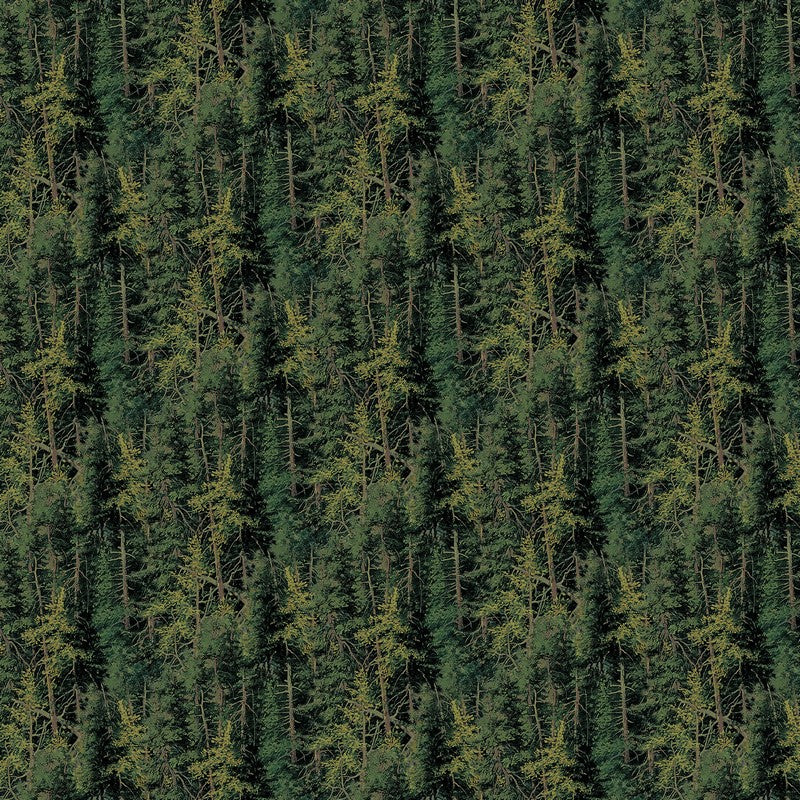 Highland Ridge - Evergreen Trees in Green - Deborah Edwards & Rosemary Millette - Northcott (Pre-order: Dec 2026)