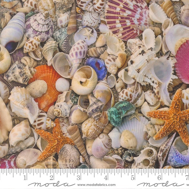 Saltwater - Seas The Day in Shell - Cathe Holden - Moda (Pre-order: Apr 2026)