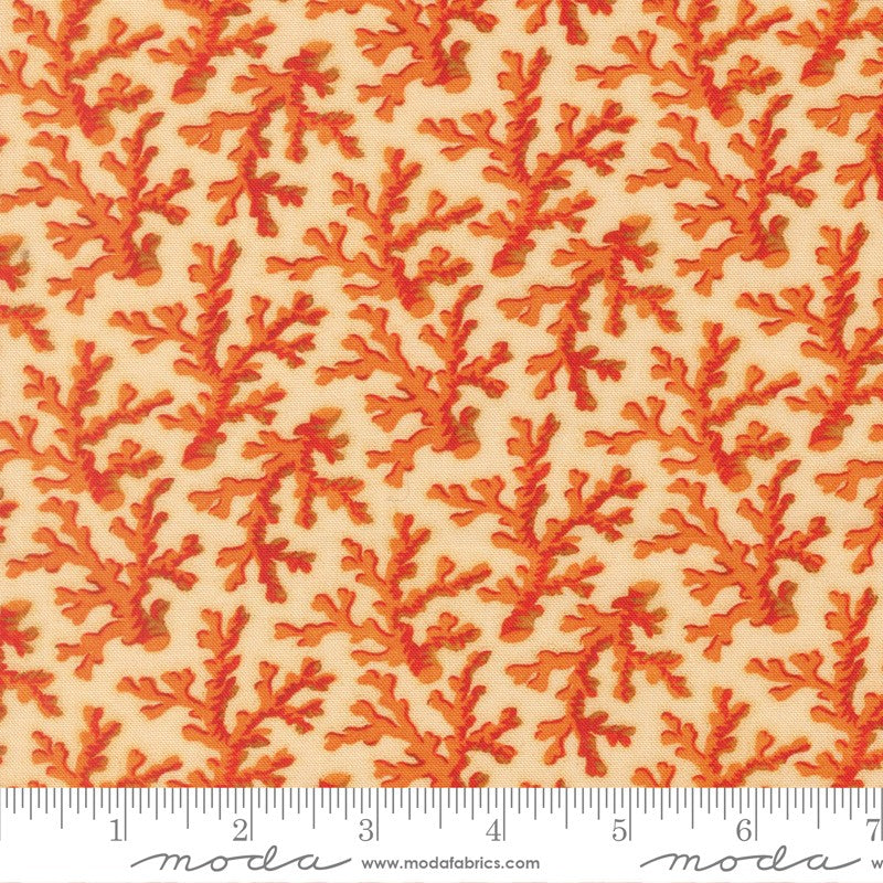 Saltwater - Coral Me This in Coral - Cathe Holden - Moda (Pre-order: Apr 2026)