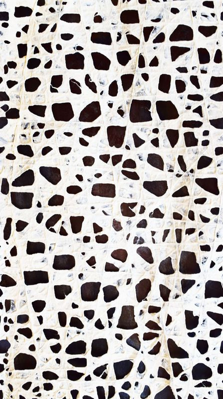 Amok - Faces in White - Stephanie Brandonberg - Northcott