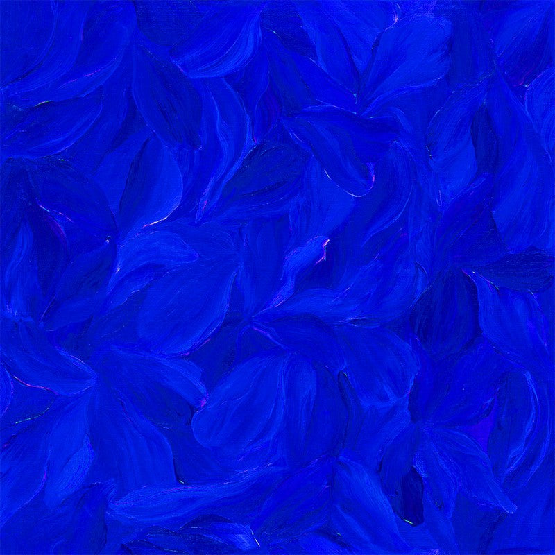 Tulip Festival - Zuzu in Bright Blue - Stephanie Brandonberg - Northcott (Pre-order: Apr 2026)