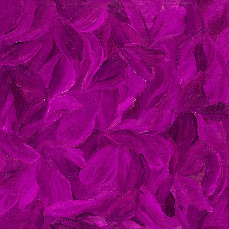 Tulip Festival - Zuzu in Fuchsia - Stephanie Brandonberg - Northcott (Pre-order: Apr 2026)