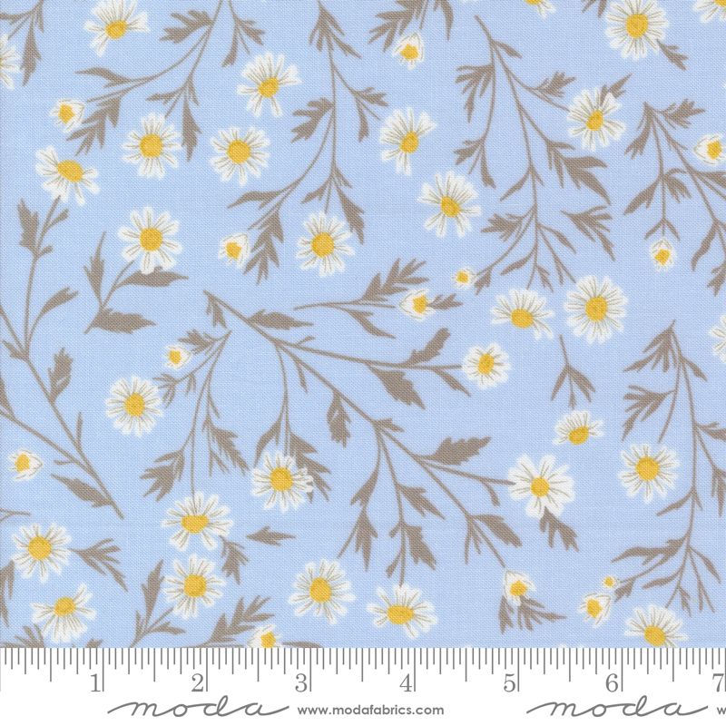 Sun Drenched - Wild Daisy in Sky - Sweetfire Road - Moda