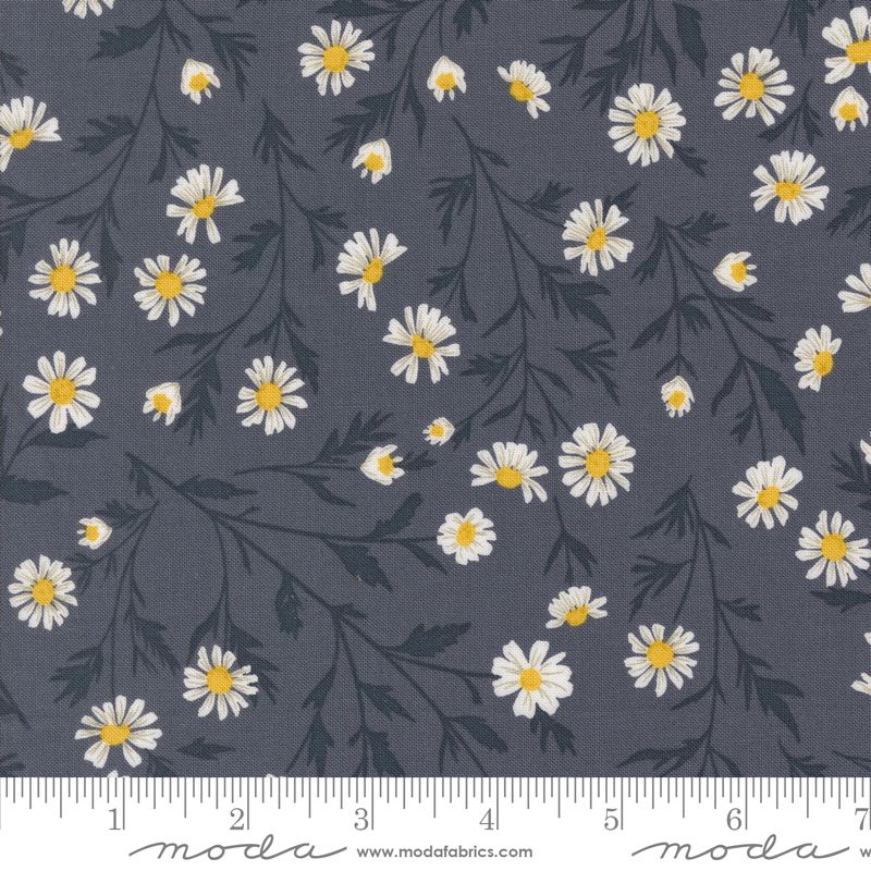 Sun Drenched - Wild Daisy in Indigo - Sweetfire Road - Moda