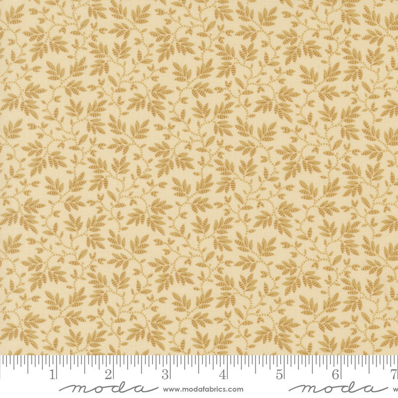 Collection For A Cause: Unity - 46268-31 in Ivory - Howard Marcus - Moda