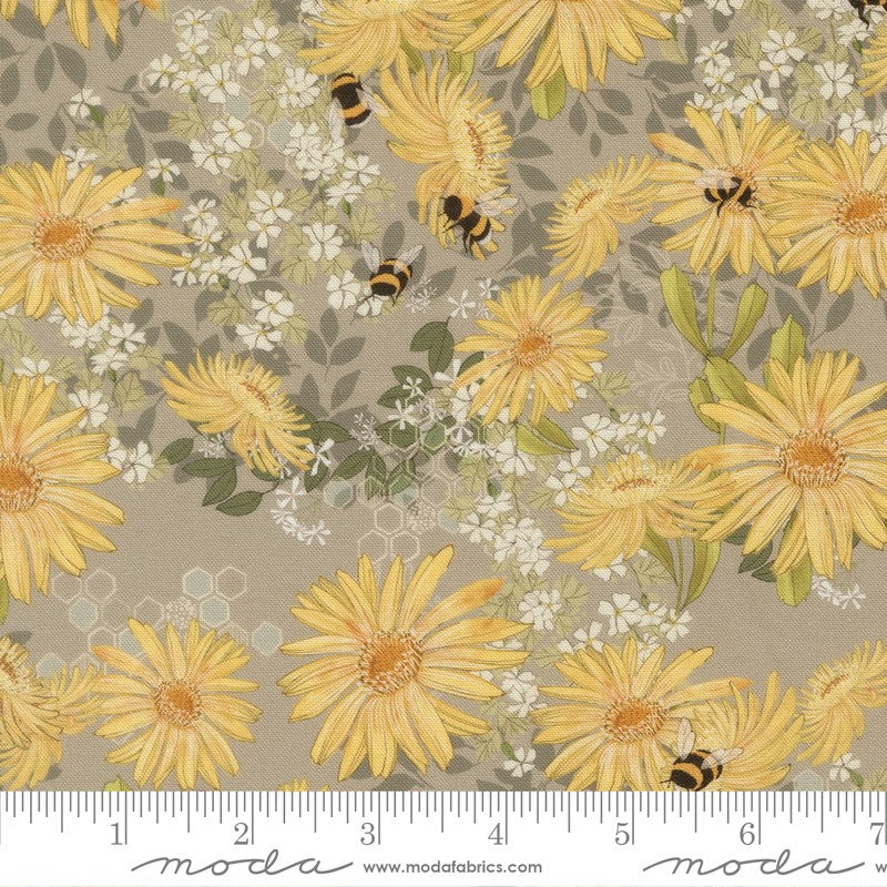 Pollinators - Daisies in Pebble - Robin Pickens - Moda (Pre-order: Jan 2027)