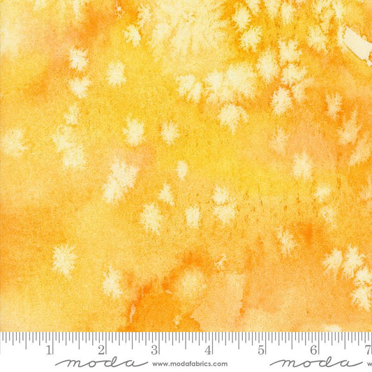 Floribunda - Flow in Sunflower - Create Joy Project - Moda (Pre-order Aug 2024)