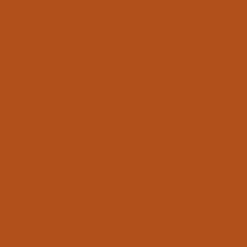 Colorworks Solids - Cinnimon Stick - Northcott
