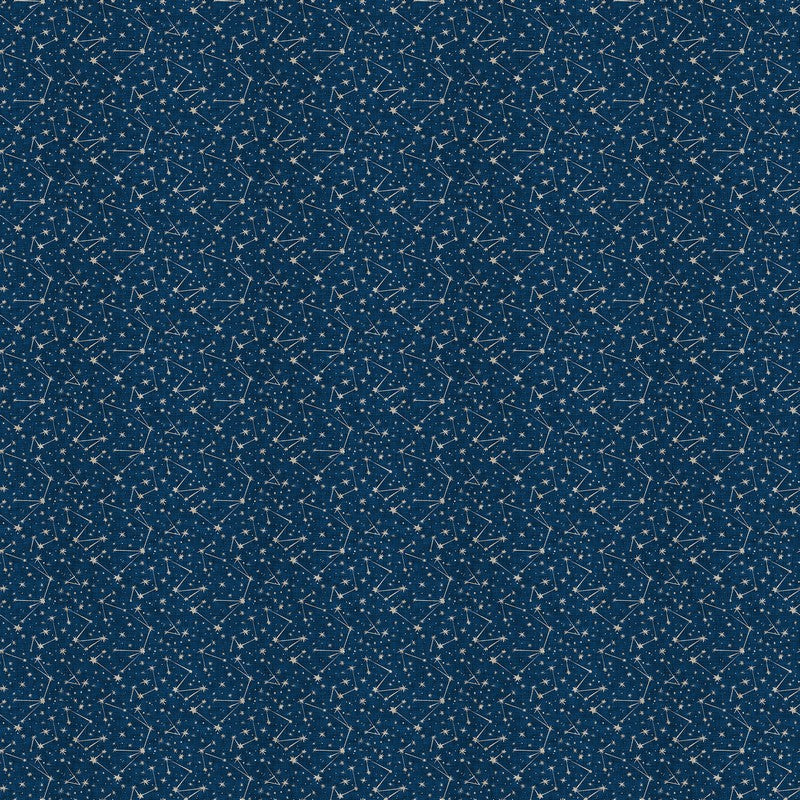 Sea of Wonder - Stars in Navy - Esther Fallon Lou - FIGO (Northcott) (Pre-order: Dec 2026)