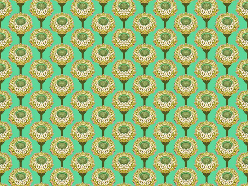 Iconic - Strawflower in Aqua - Anna Maria Textiles (Northcott)