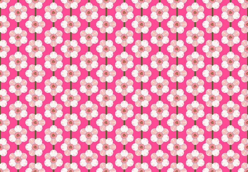 Iconic - Daffodil in Bubblegum - Anna Maria Textiles (Northcott)