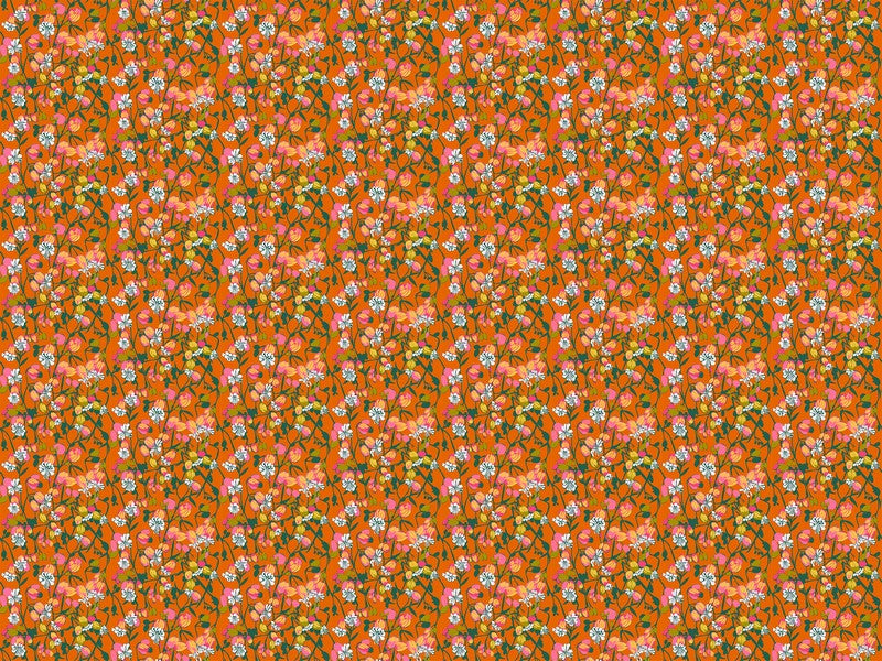 Jumpstart - Silene in Tangerine - Anna Maria Textiles (Northcott)