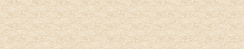 Toscana 108" Wide Back - Toasted Marshmallow - Deborah Edwards - Northcott (Pre-order: May 2026)