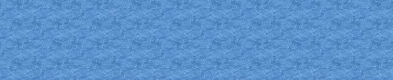 Toscana 108" Wide Back - Got The Blues - Deborah Edwards - Northcott (Pre-order: May 2026)