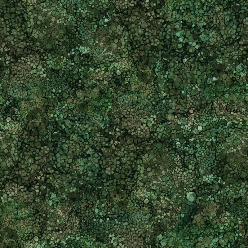 Bliss - Evergreen - Deborah Edwards & Melanie Samra - Northcott