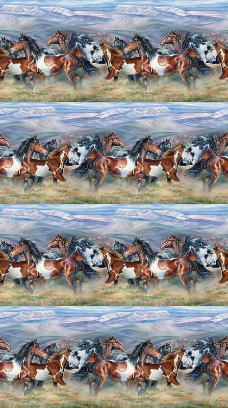 Wild & Free - Border Stripe in Blue Multi - Rick Unger - Northcott