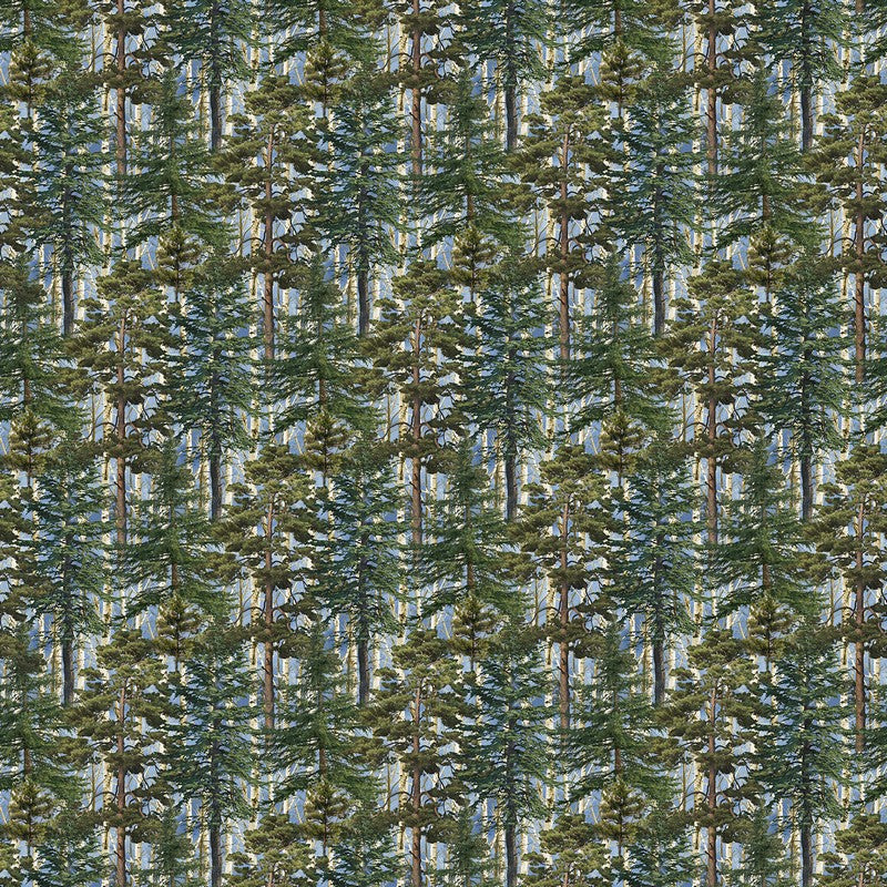 Timber Trail - Evergreen Trees in Blue - James Meger - Northcott (Pre-order: Mar 2026)