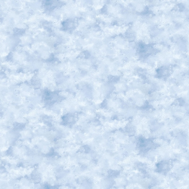 Timber Trail - Clouds in Blue - James Meger - Northcott (Pre-order: Mar 2026) - Dinkydoo Fabrics