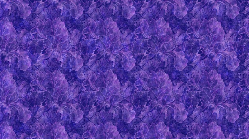 Infatuation - Tonal Iris in Deep Purple - Deborah Edwards & Melanie Samra - Northcott
