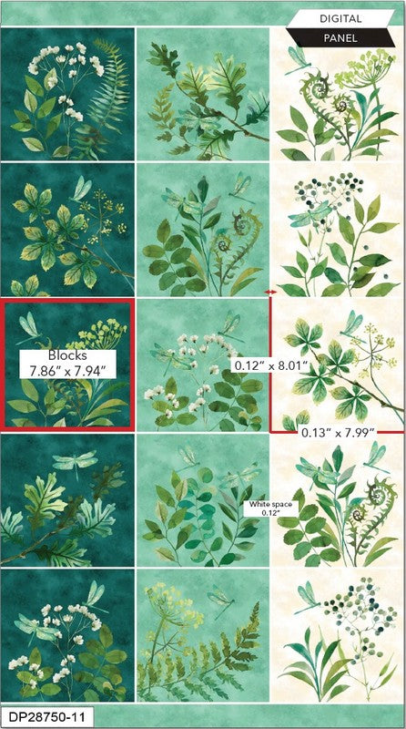 Luscious - Blocks PANEL in Cream Multi - Northcott (Pre-order: Feb 2026)