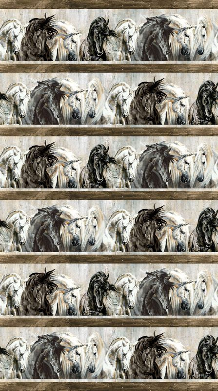 Shadow & Light - Border Stripe in Brown - Elise Genest - Northcott (Pre-order: Oct 2026)