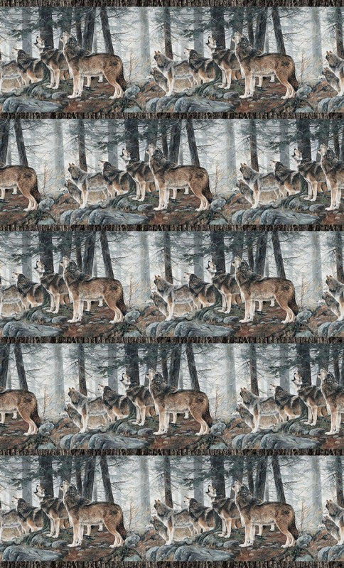 Guardians - Border Stripe in Light Grey - Deborah Edwards - Northcott (Pre-order: Nov 2026)