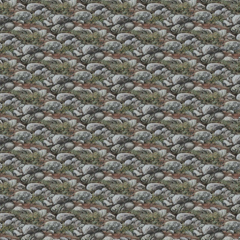 Guardians - Boulders in Dark Grey - Deborah Edwards - Northcott (Pre-order: Nov 2026)