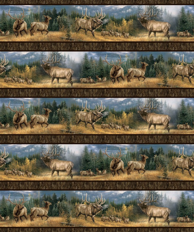 Highland Ridge - Border Stripe in Brown - Deborah Edwards & Rosemary Millette - Northcott (Pre-order: Dec 2026)