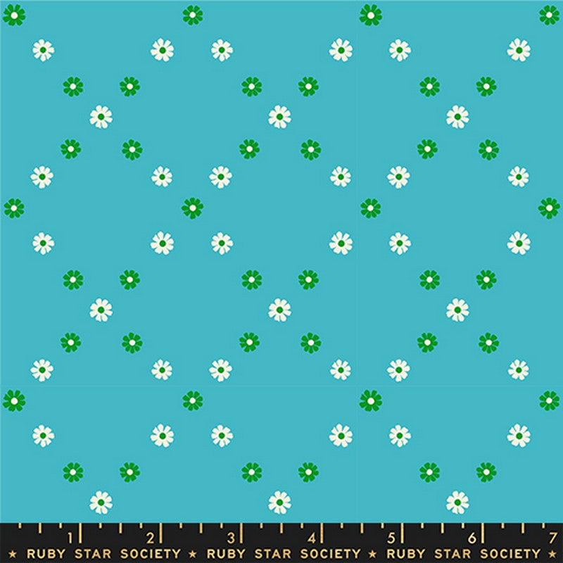 Best Day Ever - Jelly Roll - Melody Miller - Ruby Star Society (Pre-order: Jan 2026)