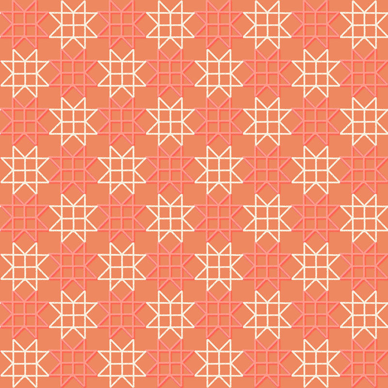 Paper Cuts 2 RS1114-14 - Canyon - Ruby Star Society