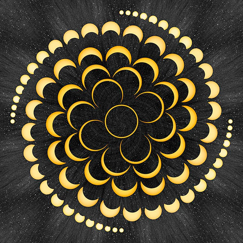 Dream Big Eclipse - PANEL in Onyx - Hoffman Fabrics