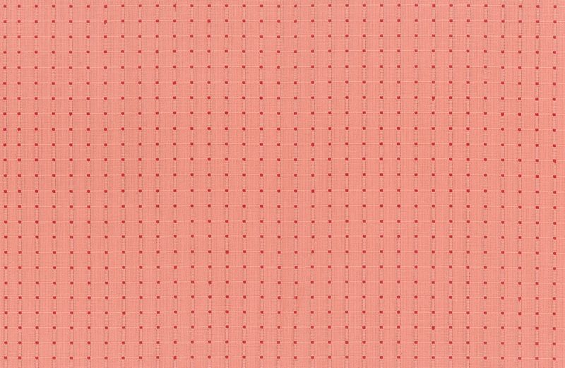 Garden Variety WOVENS - Seeds in Poppy - Anna Maria Textiles (Northcott)