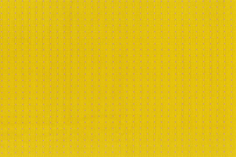 Garden Variety WOVENS - Seeds in Zinnia - Anna Maria Textiles (Northcott)