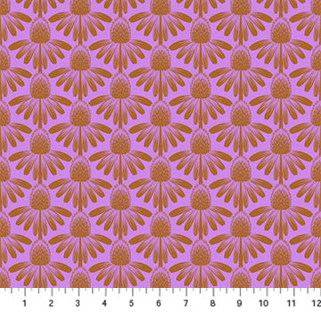 Indelible - Coneflower Taffy (AMT1001-90V) - Anna Maria - Northcott - Full Bolt (10m)