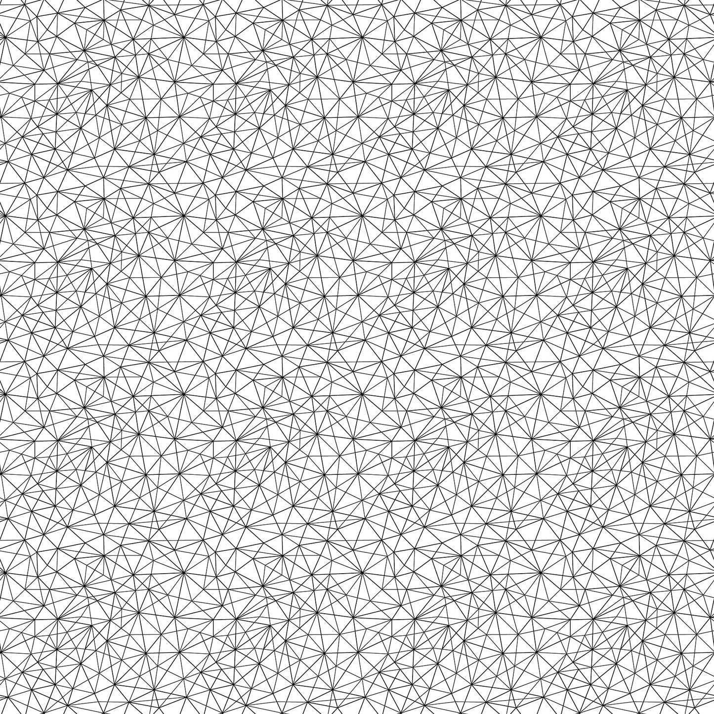 Basically Black & White - Geo Mesh Positive (10720-11) - Patrick Lose - Northcott - Full Bolt (10m) (Pre-order: Aug 2026)