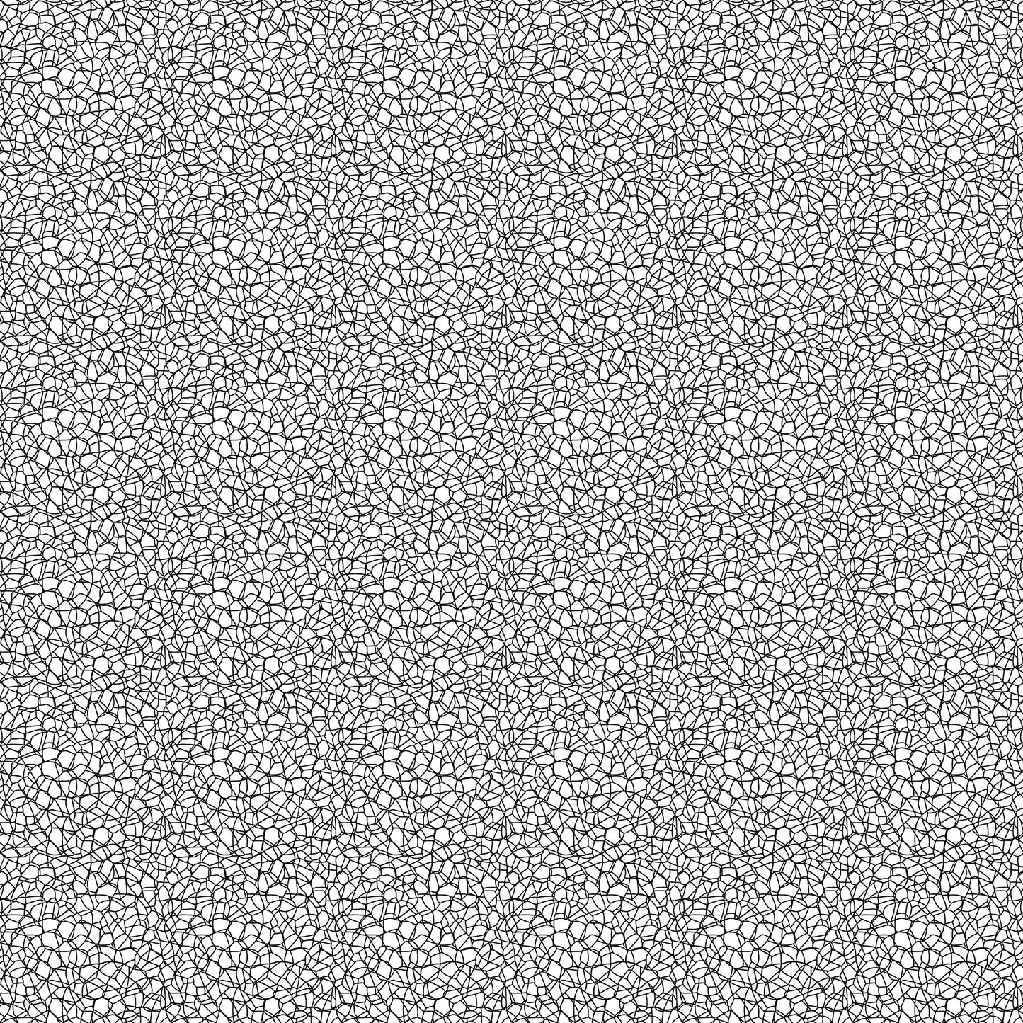 Basically Black & White - Voronoi Positive (10725-11) - Patrick Lose - Northcott - Full Bolt (10m) (Pre-order: Aug 2026)