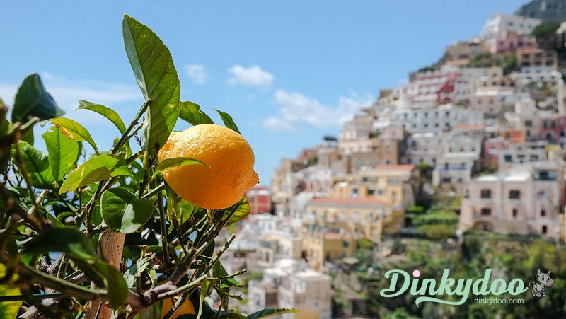 Color Builders 50wt 2020 - Sicily Yellow - Aurifil (Pre-order: Feb 2026)