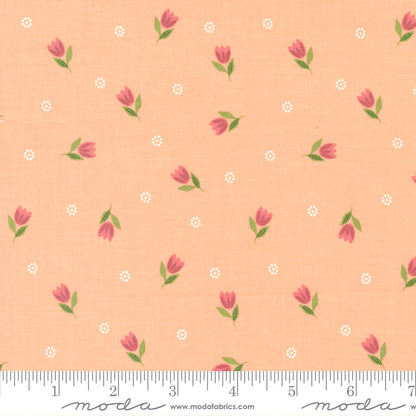 Bountiful Blooms - Mini Charm Pack - Sherri & Chelsi - Moda (Pre-order: May 2024)