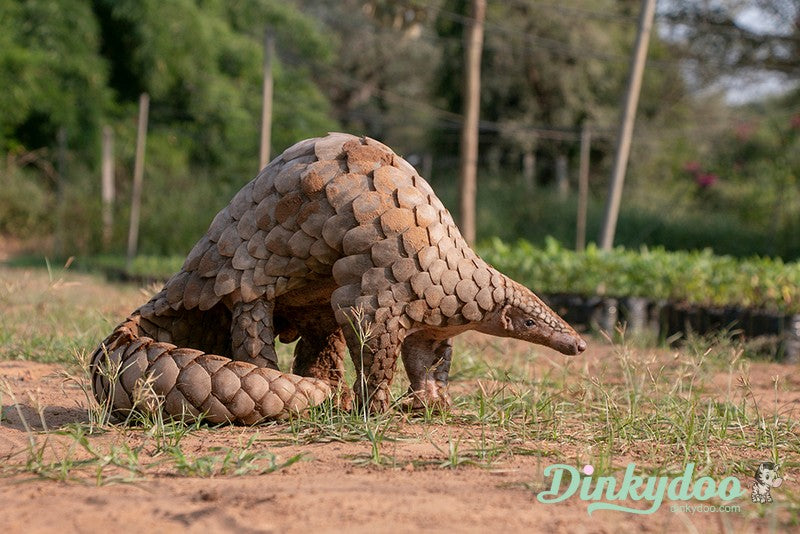 Color Builders 40wt 2021 - Pangolin - Aurifil (Pre-order: Jan 2026)