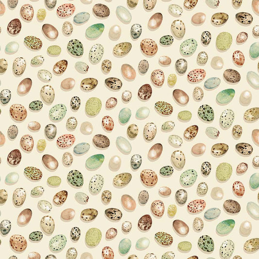 From Little Acorns - 012422-11 - Cream - Michael Miller