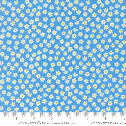 True to Hue - Charm Pack - Alli K Designs - Moda (Pre-order: Mar 2026)