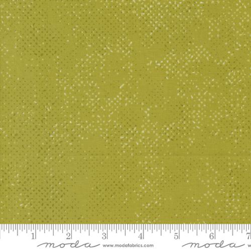Spotted - Zest - 1660-218 - Zen Chic - Moda