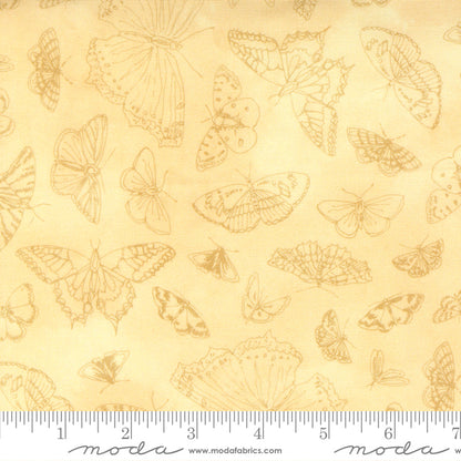 Flutterby - Charm Pack - Janet Clare - Moda (Pre-order: Mar 2027)