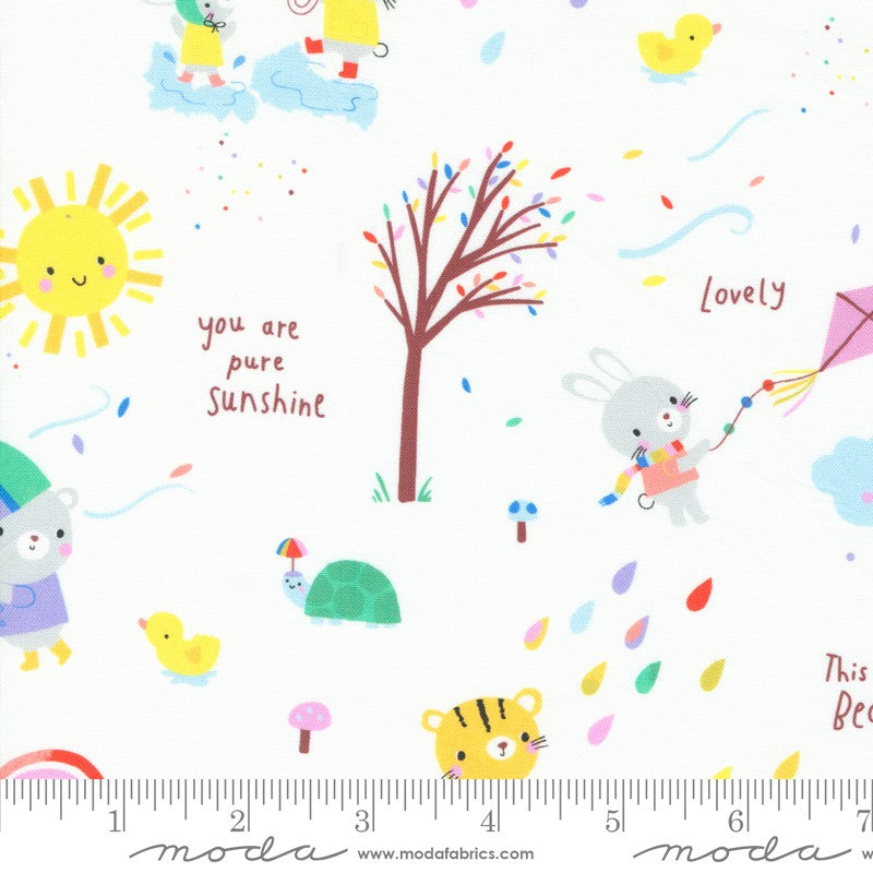 Whatever The Weather  - Jelly Roll - Paper + Cloth Studio - Moda