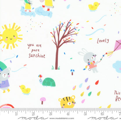 Whatever The Weather  - Jelly Roll - Paper + Cloth Studio - Moda